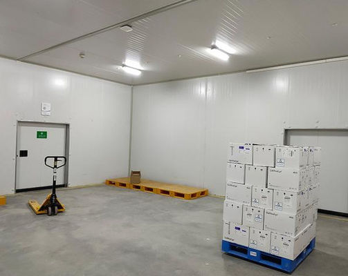 Pannello di camera fredda in poliuretano ignifugo B1/B2 per stoccaggio sicuro e isolato