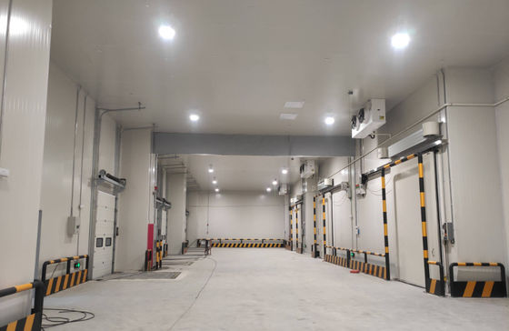 Pannello di camera fredda in poliuretano ignifugo B1/B2 per stoccaggio sicuro e isolato