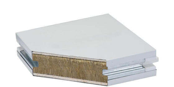 50/75/100 mm pannelli modulari per stanze pulite classe A Isolamento ignifugo impermeabile