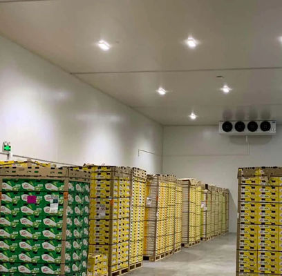 Pannello PU per camera fredda personalizzabile Alta resistenza alla compressione 200kpa e lunghezza personalizzabile per prestazioni di raffreddamento ottimali