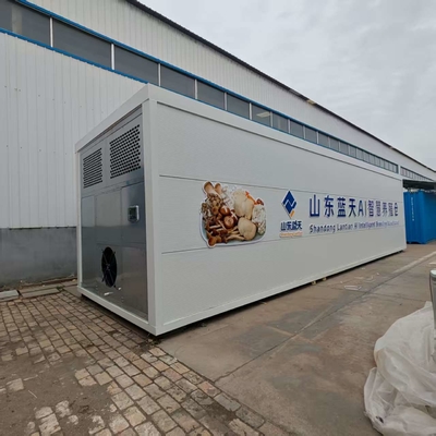 Utilizzo efficiente delle risorse per la coltivazione di funghi in container ad alta produttività