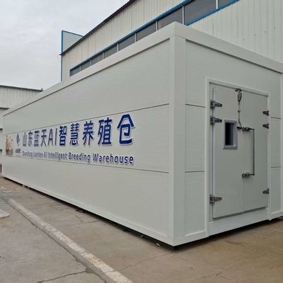 Utilizzo efficiente delle risorse per la coltivazione di funghi in container ad alta produttività