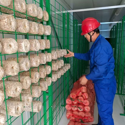 Contenitore per la coltivazione di funghi a controllo ambientale preciso