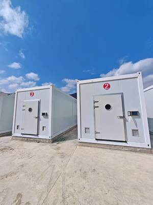 coltivazione di funghi