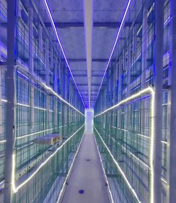 Fattoria di funghi in container a bassa manutenzione con monitoraggio remoto e container standard da 20 o 40 piedi