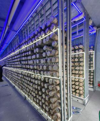 Fattoria di funghi in container a bassa manutenzione con monitoraggio remoto e container standard da 20 o 40 piedi