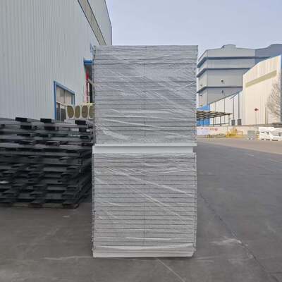 Pannello sandwich per ambienti puliti ignifughi e impermeabili con spessore personalizzabile per ambienti ad alta pulizia